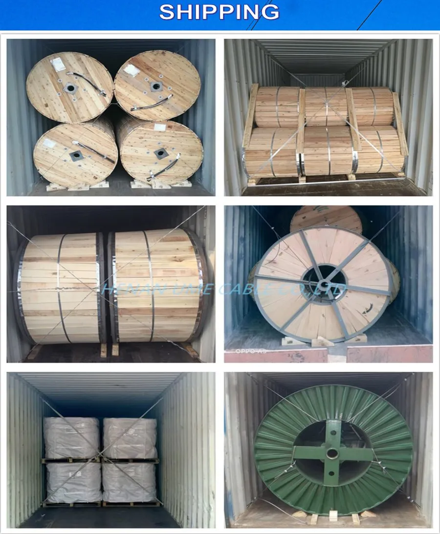 Câble en faisceau aérien de branchement isolé XLPE/PE/PVC AAC/AAAC/ACSR pour ligne de transport d'énergie 5