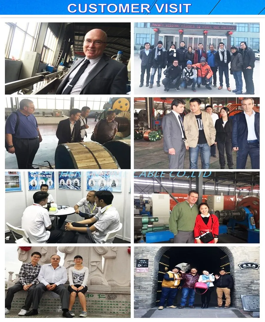 Primary and Secondary Distribution Cable Hare/Dog 100mmÂ² Aluminum Conductor Steel Reinforced